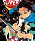 Demon Slayer: Kimetsu No Yaiba, Vol. 1