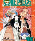 One Piece, Vol. 25