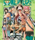 One Piece, Vol. 28