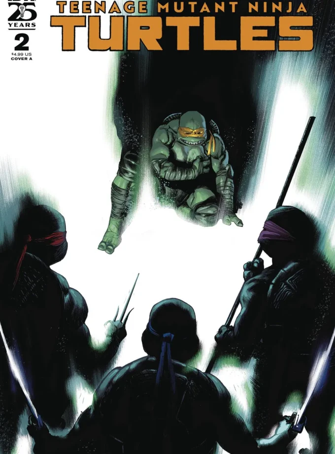 Teenage Mutant Ninja Turtles Vol 6 #2 Rafael Albuquerque Cover