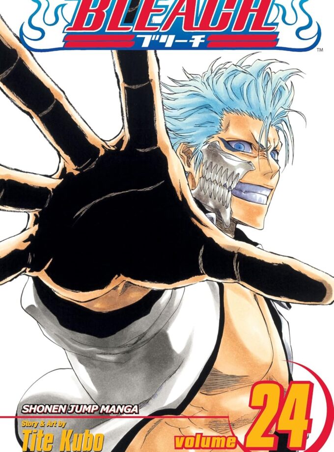 Bleach 24