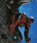 The Amazing Spider-Man #49 Unknown Comics / Street Level Comics / Comic Traders Gabriele Dell'Otto Virgin Variant
