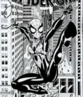Amazing Spider-Girl #1 Sketch Cover