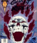 Ghost Rider #50 Ron Garney Foil Variant Signed by Stan Lee with CoA