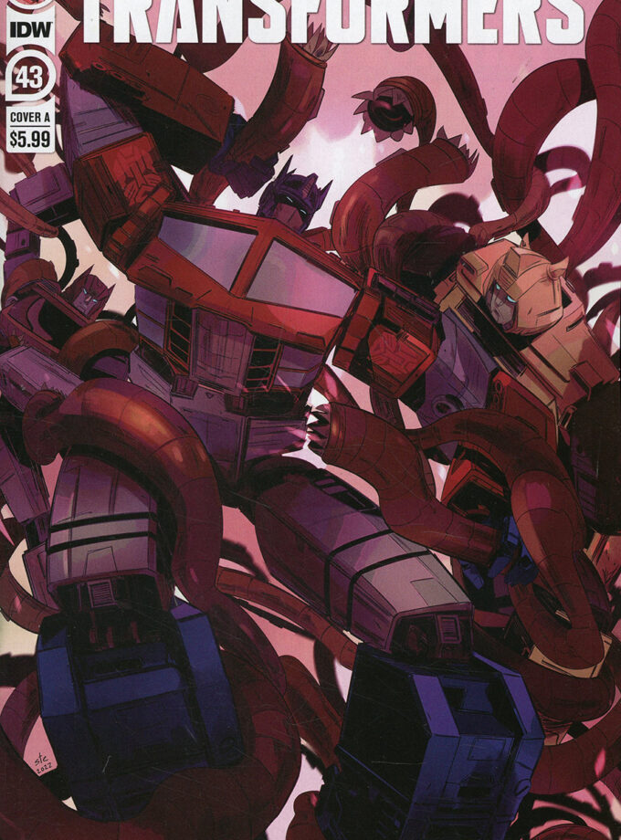 Transformers #43