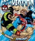 The Sensational Spider-Man #26