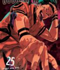 Jujutsu Kaisen 25: Volume 25