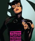 Batman: One Bad Day: Catwoman